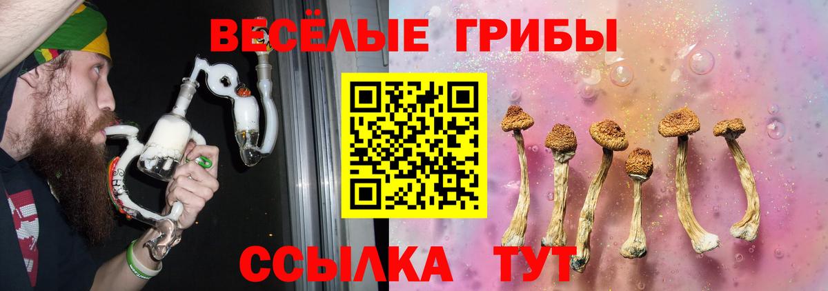 Псилоцибиновые грибы Psilocybe Кузнецк